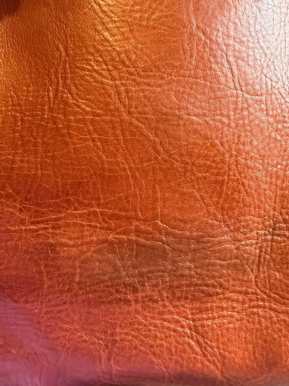 Madewell Leather Tote in Warm Chestnut Brown